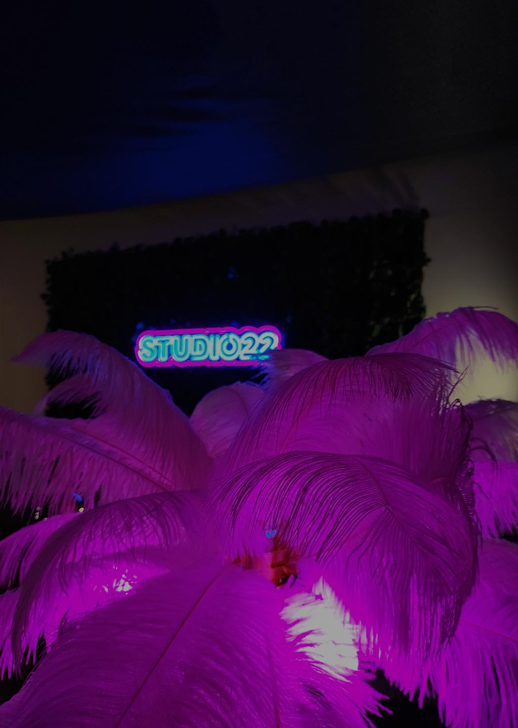 Studio22 Backstage